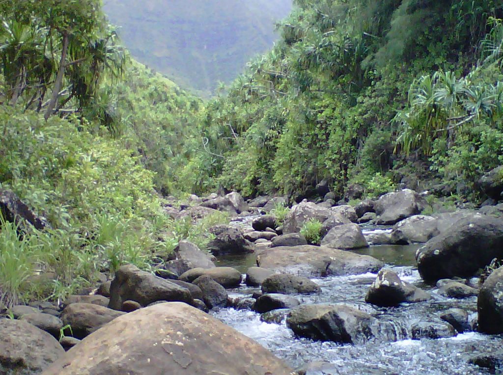 Kalalau Trail/Kauai - The Hawaiian Bucket List 